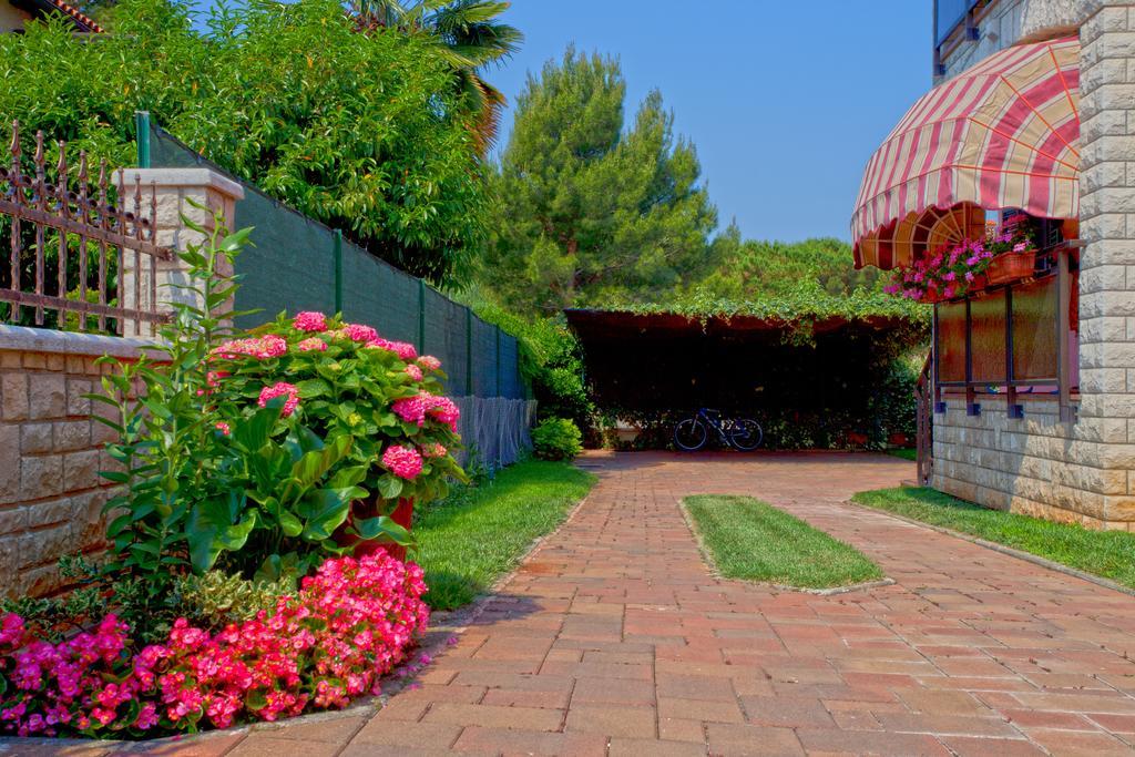 Novigrad Istria Apartments Daniela מראה חיצוני תמונה