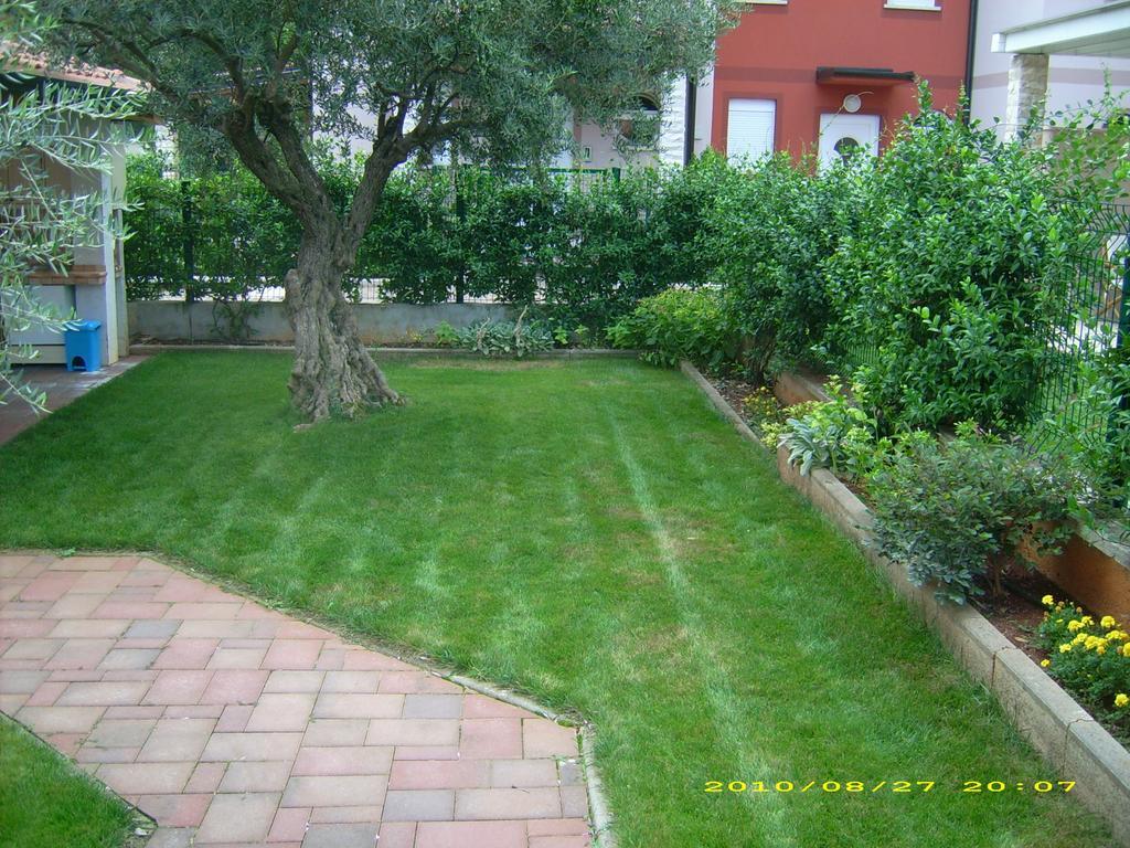 Novigrad Istria Apartments Daniela מראה חיצוני תמונה